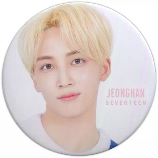 中古】バッジ・ピンズ ジョンハン 缶バッジ 「SEVENTEEN 2019 JAPAN