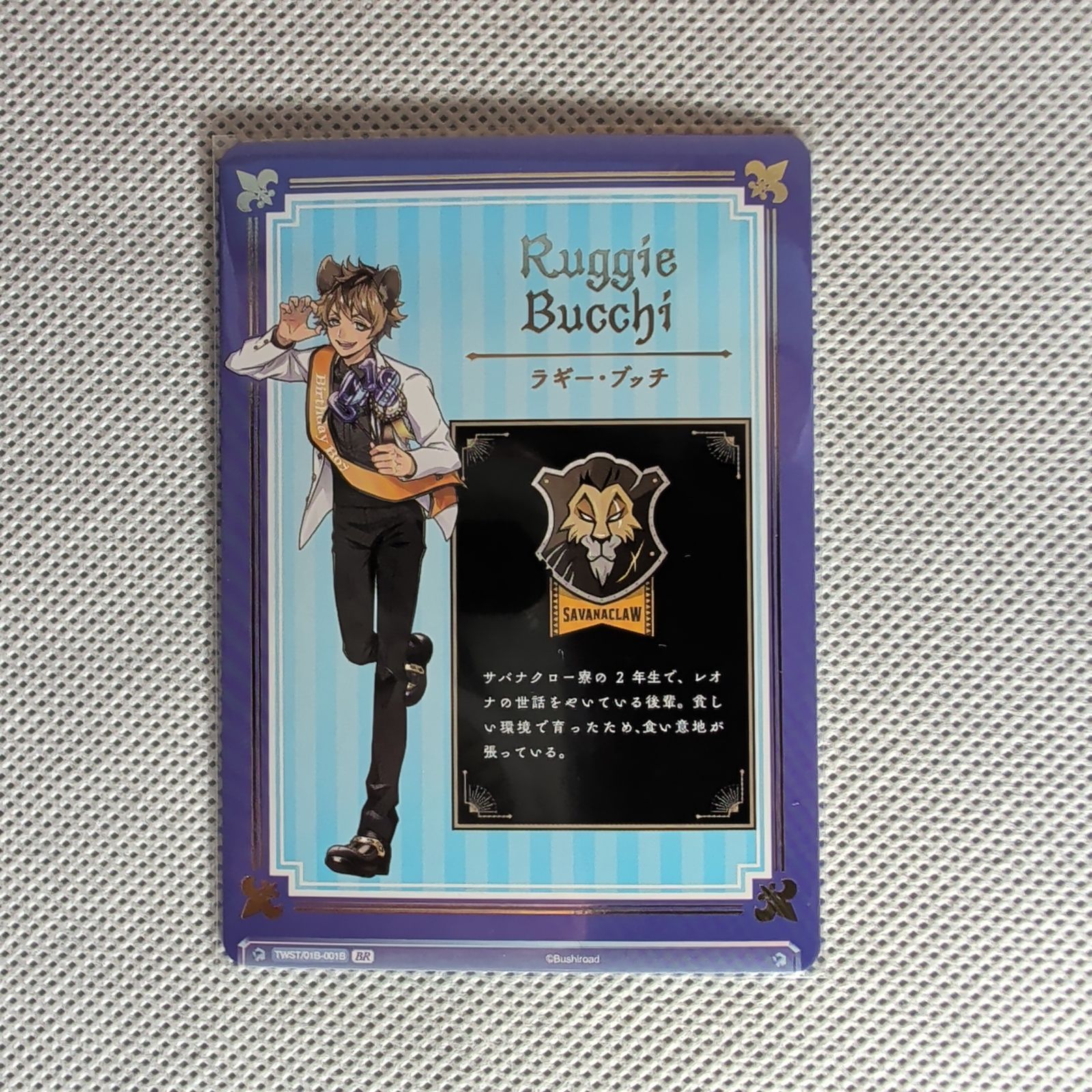 WSB】ツイステ サバナクロー寮 40枚セット ラギー BR 2枚入り デッキ