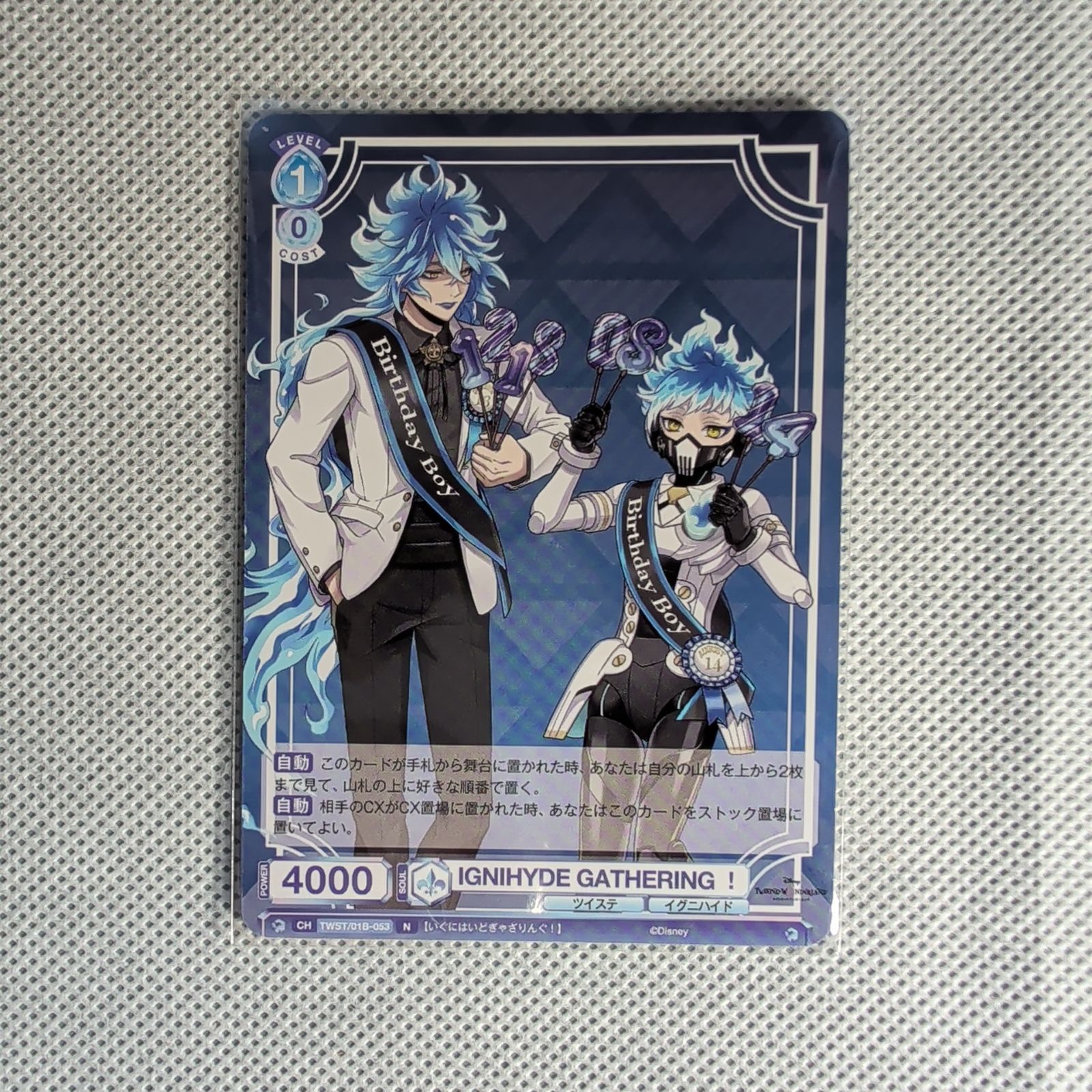 WSB】ツイステ イグニハイド寮 38枚セット イデア オルト デッキパーツ