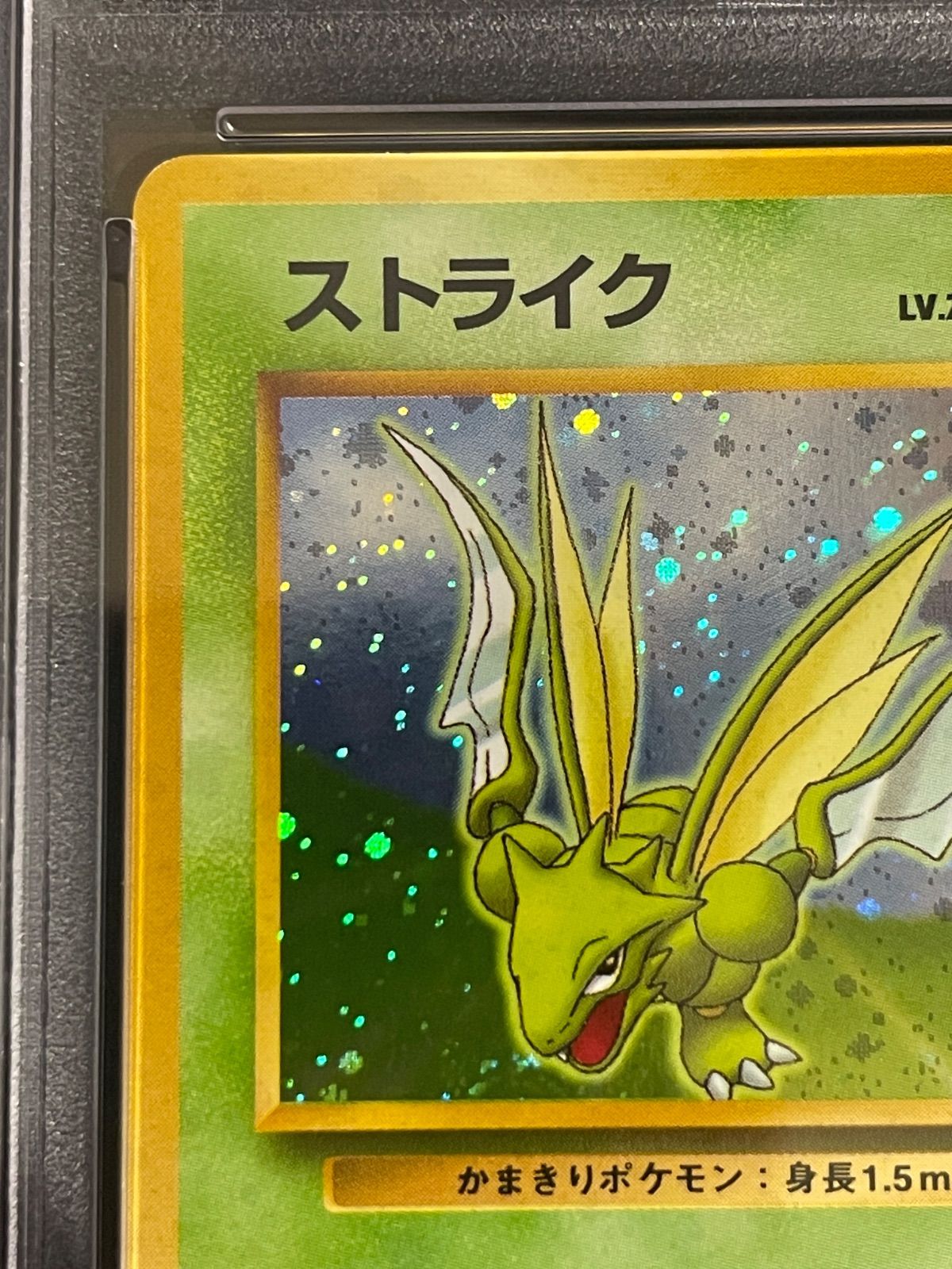 ポケモンカード 1998年 ストライク クイックスターターギフト 旧裏