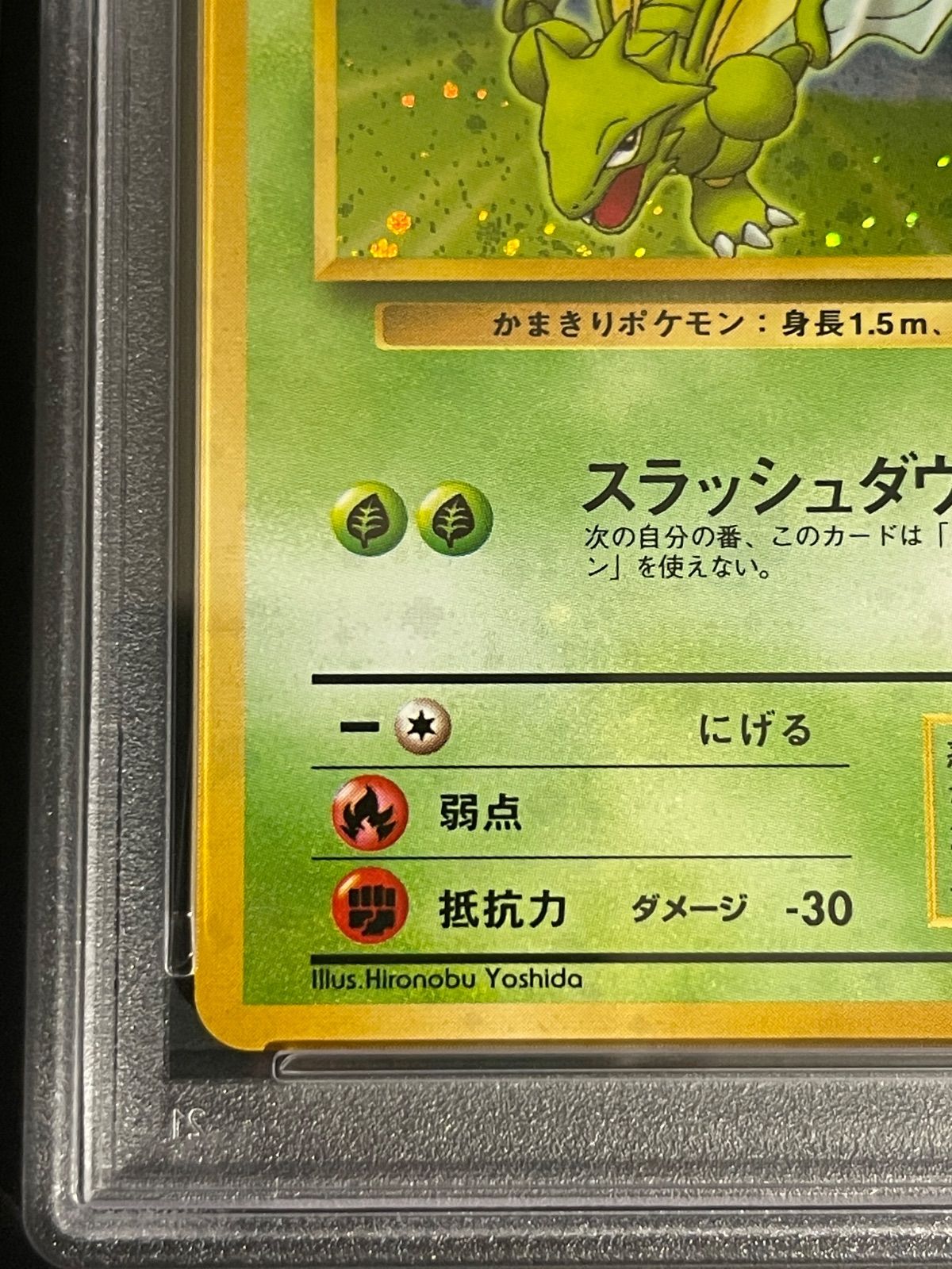 ポケモンカード 1998年 ストライク クイックスターターギフト 旧裏