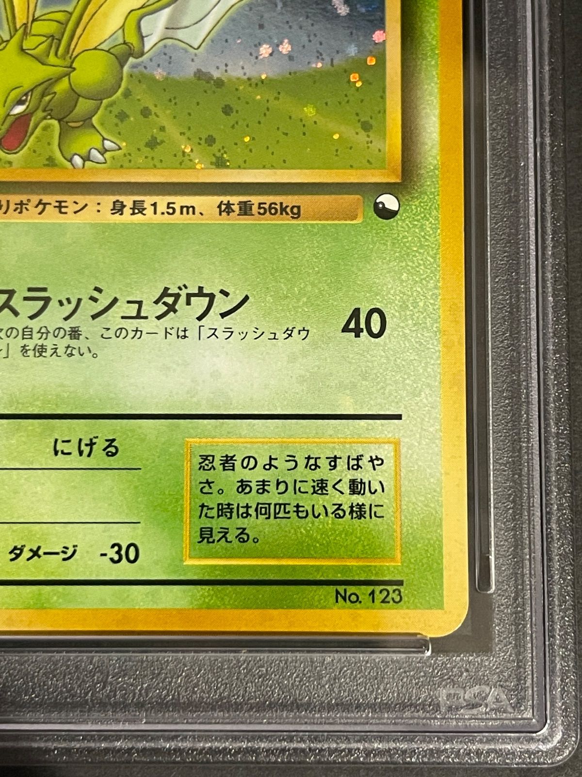 ポケモンカード 1998年 ストライク クイックスターターギフト 旧裏