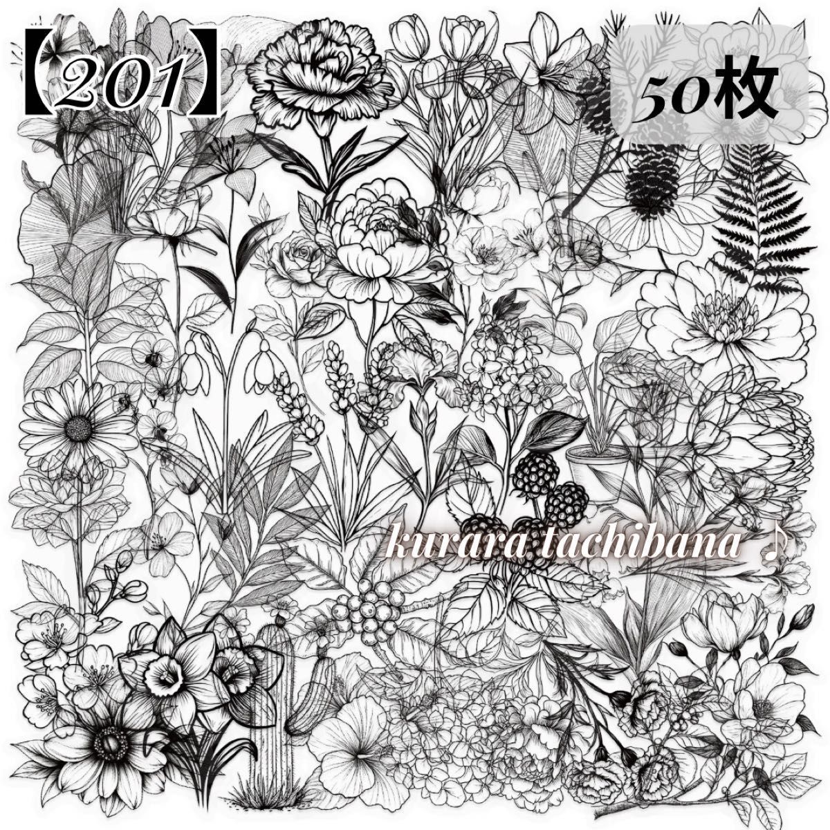 201】コラージュ素材 シール ステッカー 花 モノクロ 装飾 PET