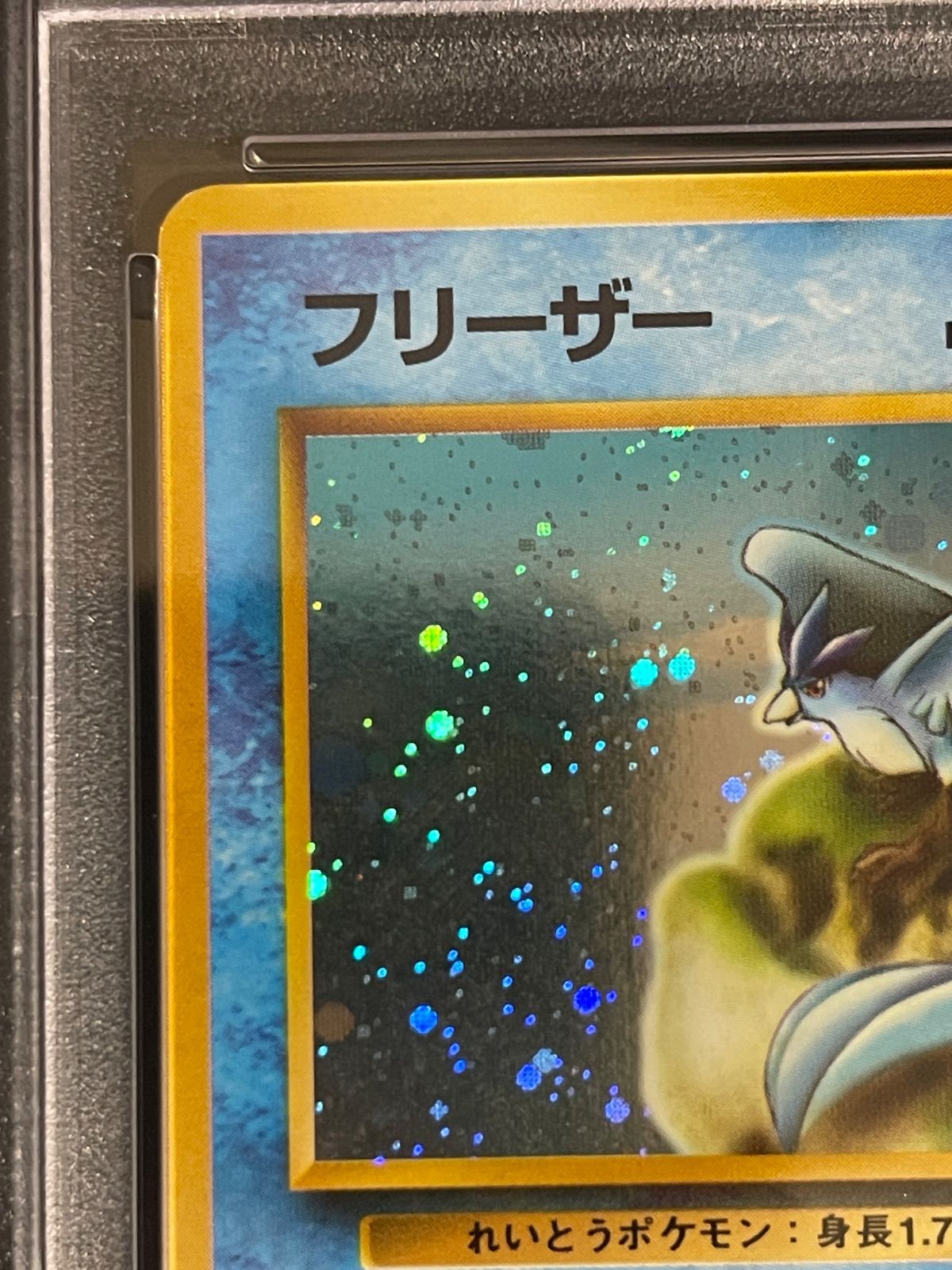 ポケモンカード 1998年 フリーザー クイックスターターギフト 旧裏