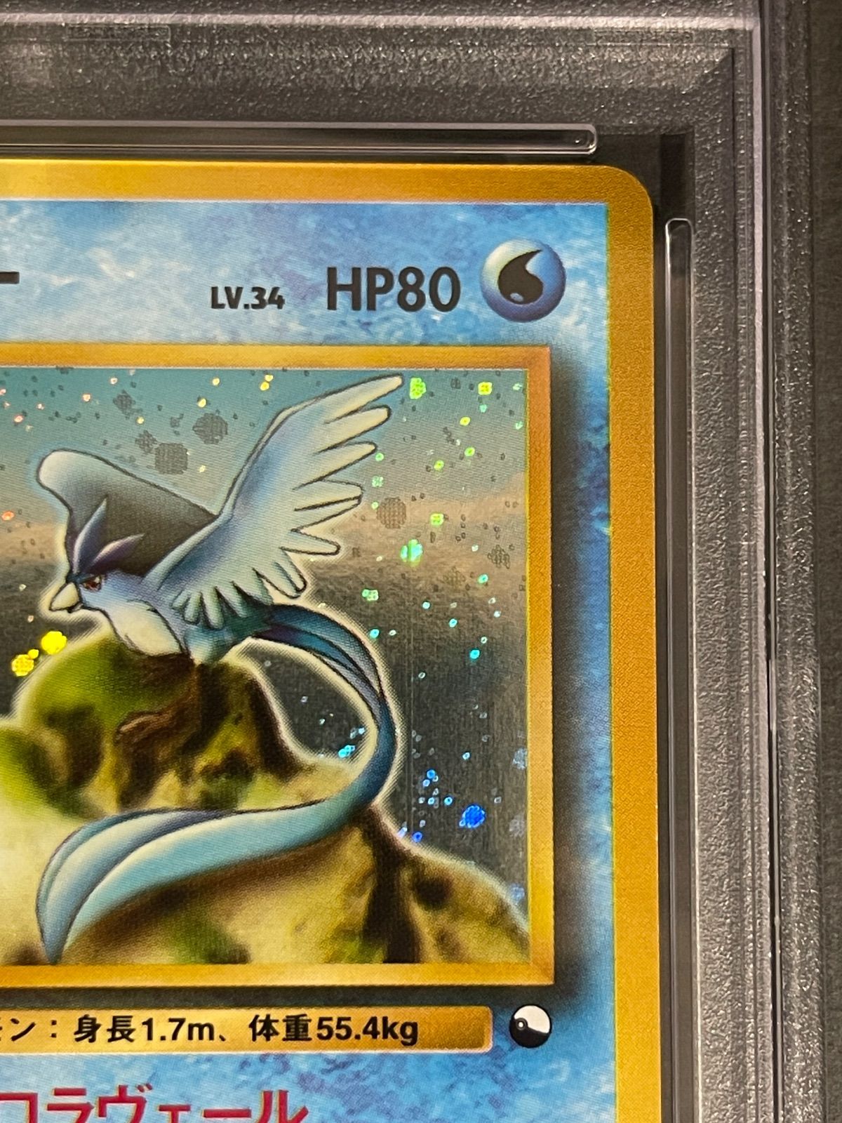 ポケモンカード 1998年 フリーザー クイックスターターギフト 旧裏