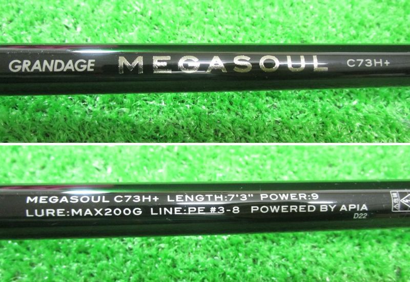 ECH大 アピア グランデージ メガソウル c73h