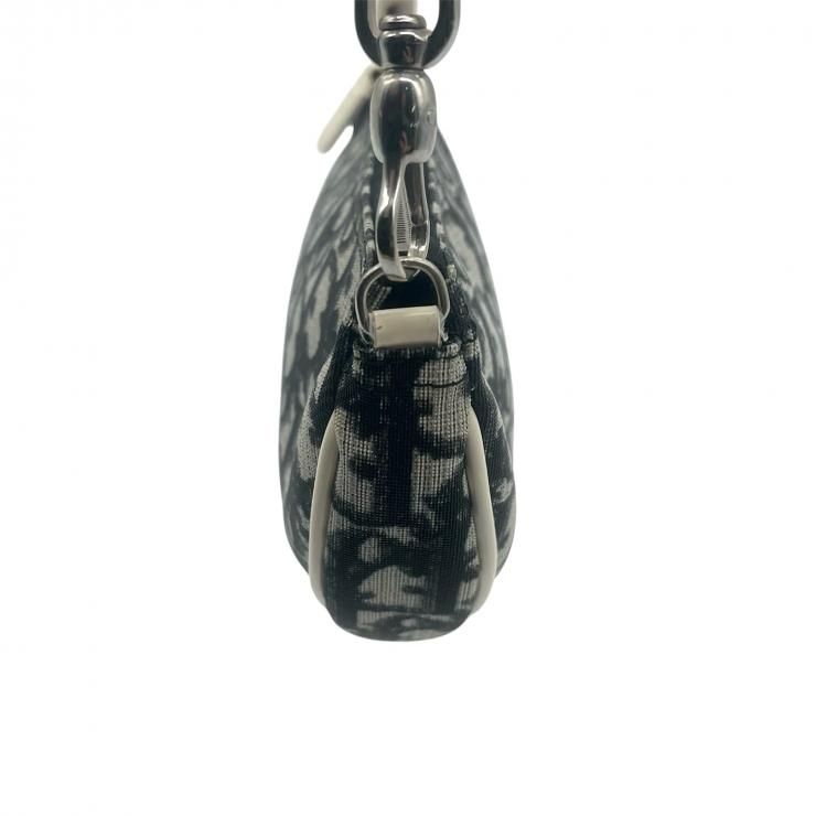 Christian Dior クリスチャンディオール サドルポーチ トロッター