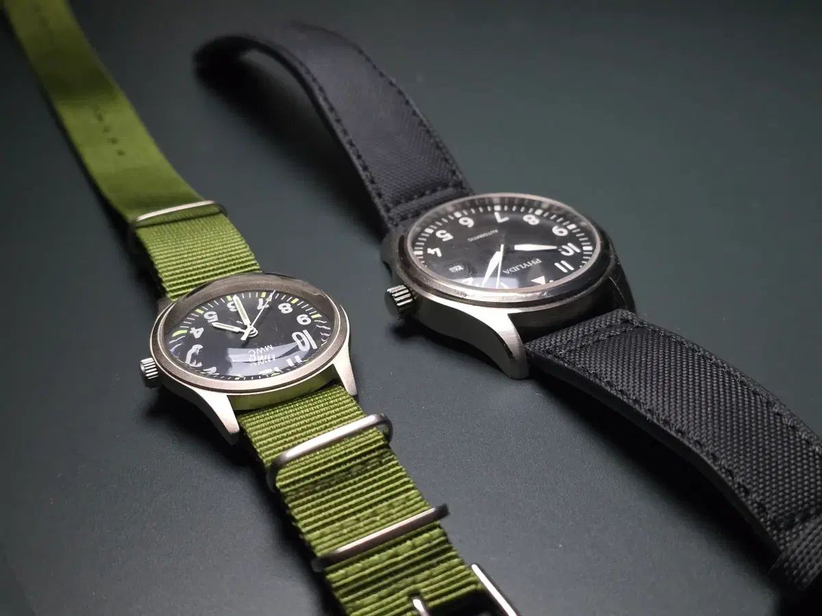 ベトナム Phylida