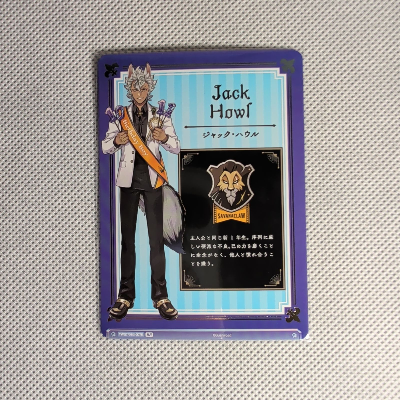 WSB】ツイステ ジャック・ハウル 47枚セット TWR BR3枚 サバナクロー寮