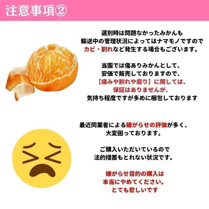 訳あり】和歌山みかん 5kg 送料無料 - メルカリ