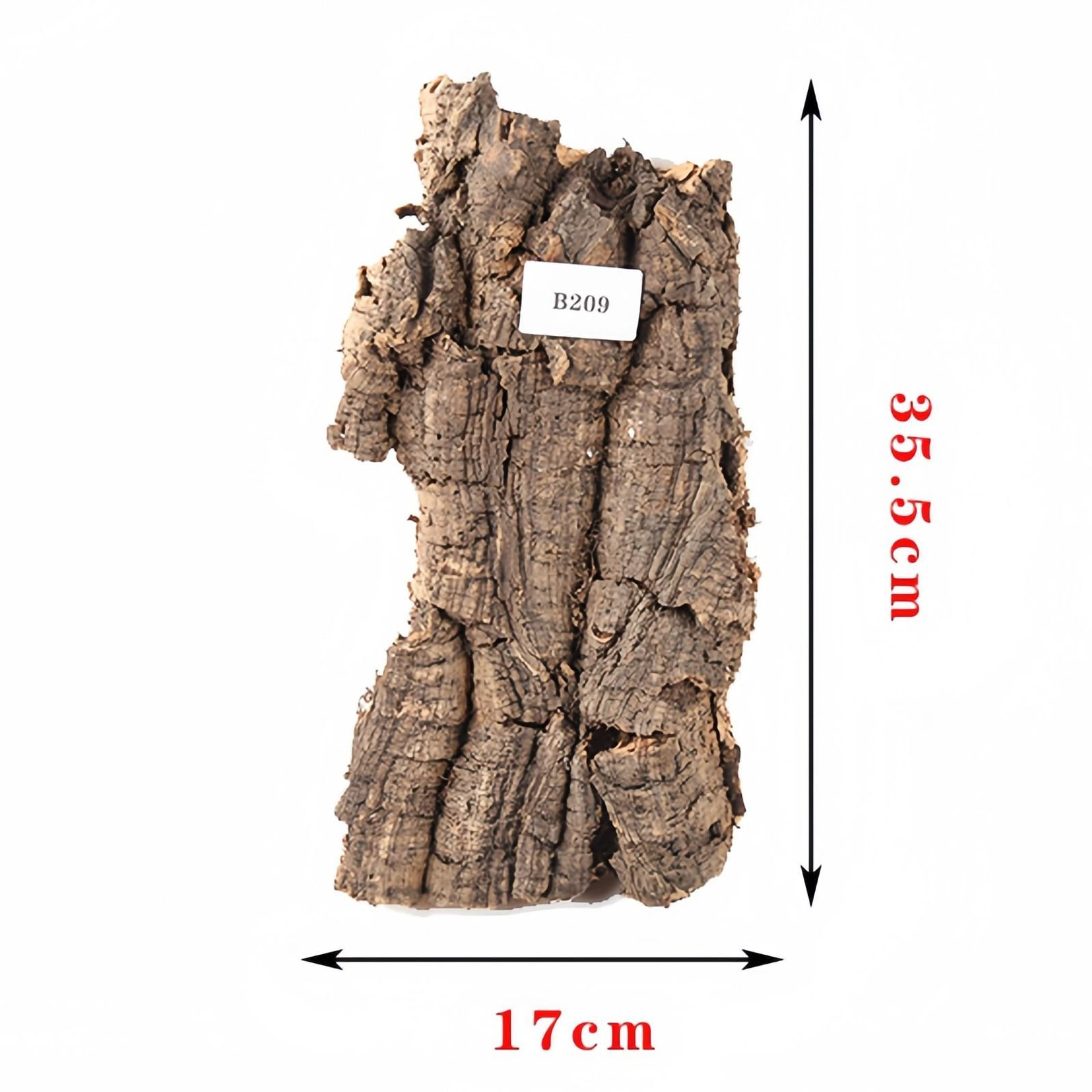 B209 ポルトガル産 厚め コルク樹皮 コルク板 バージンコルク 送料無料