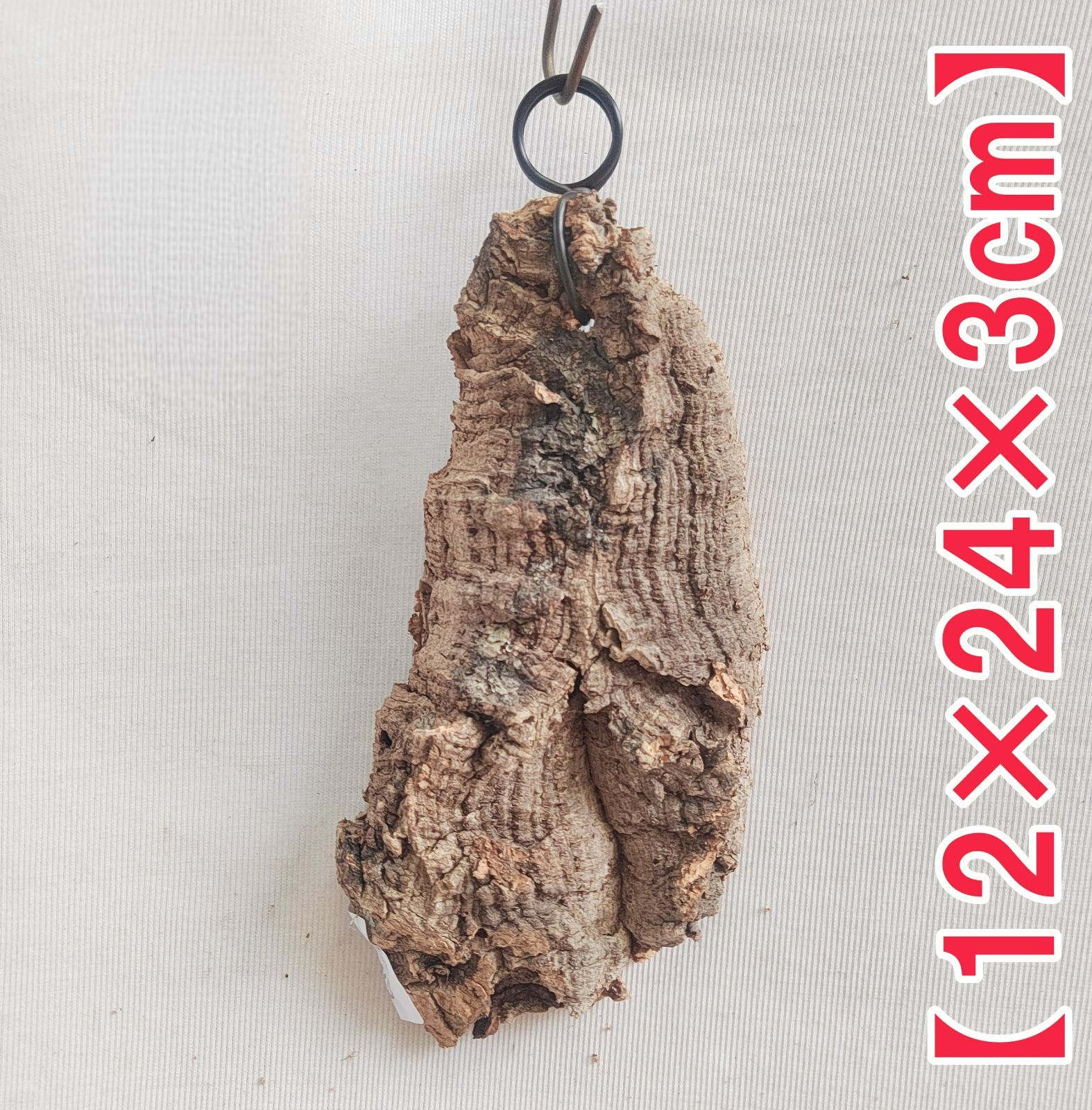 g248 ポルトガル産 厚め コルク樹皮 コルク板 バージンコルク 送料無料