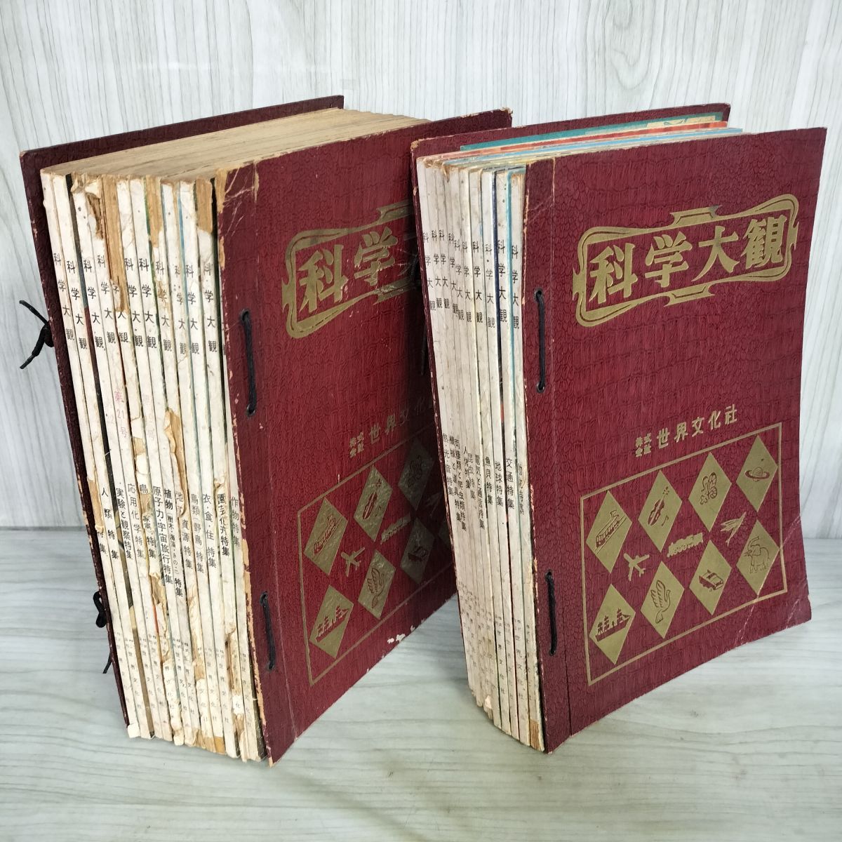 全24号中22冊 不揃い 科学大観 世界文化社 8.12号欠 昭和35~37年 1960