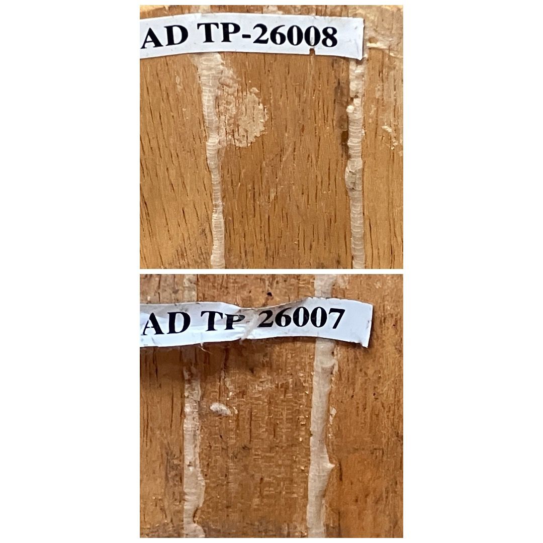 TOCA PLAYERS SERIES ボンゴ TP-26007 TP-26008 打楽器 F10897763