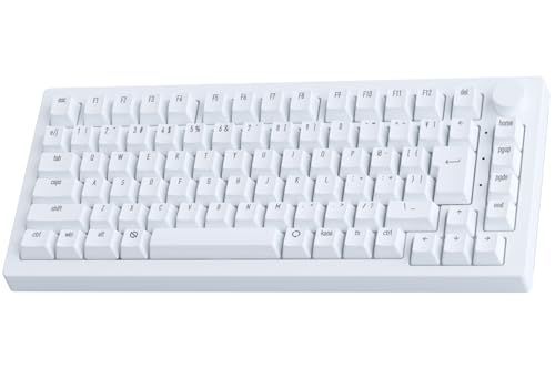 迅速に発送 Akko アッコ ラピッドトリガー 8000 Hz ゲーミングキーボード 5075 S HE JP Moon Light White 磁気スイッチ 75% 日本語配列 JISキー SnapKeys SOCD 対応 ba 234 df 2