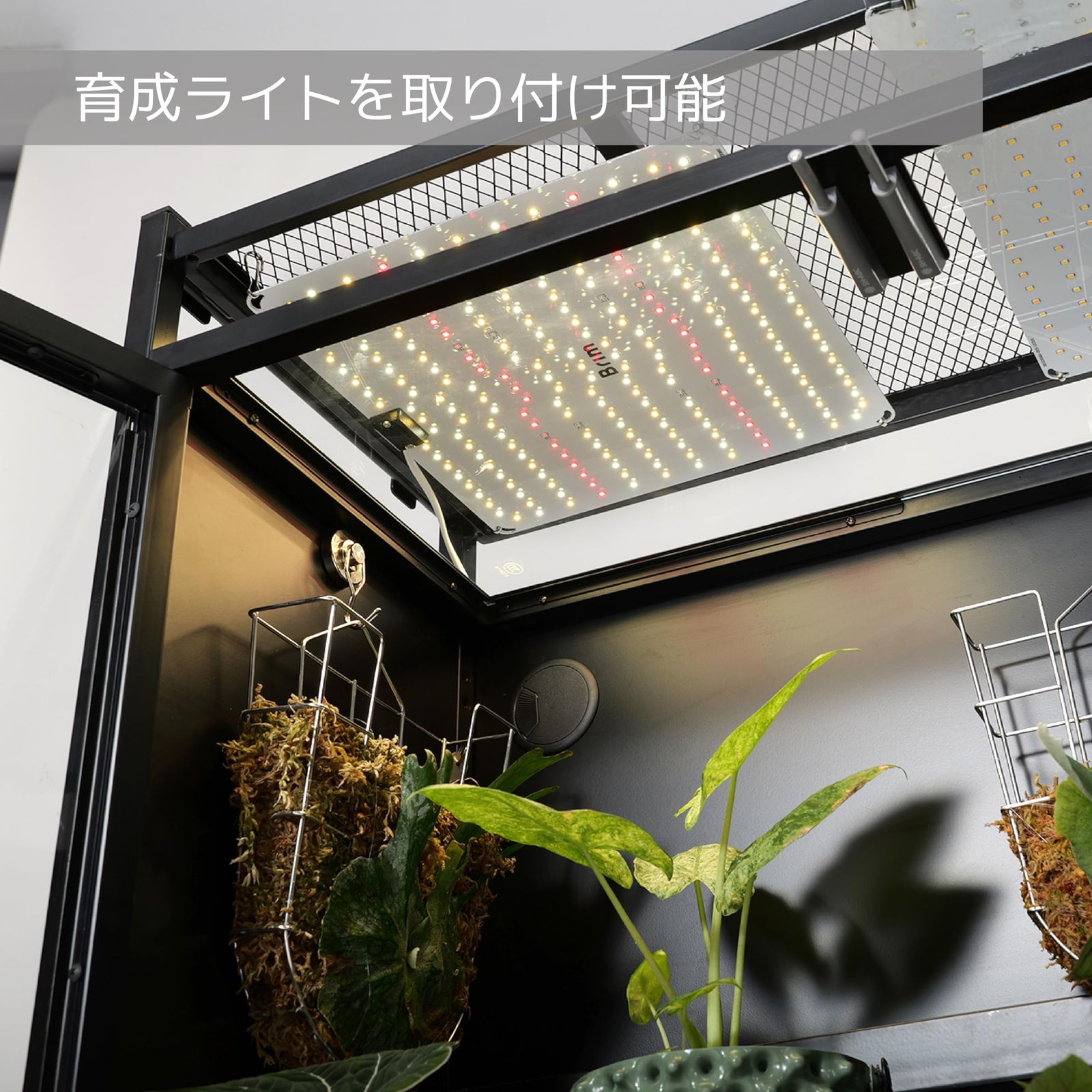 新品 ビザールプランツラック キャビネット ガラス温室 植物育成ライト