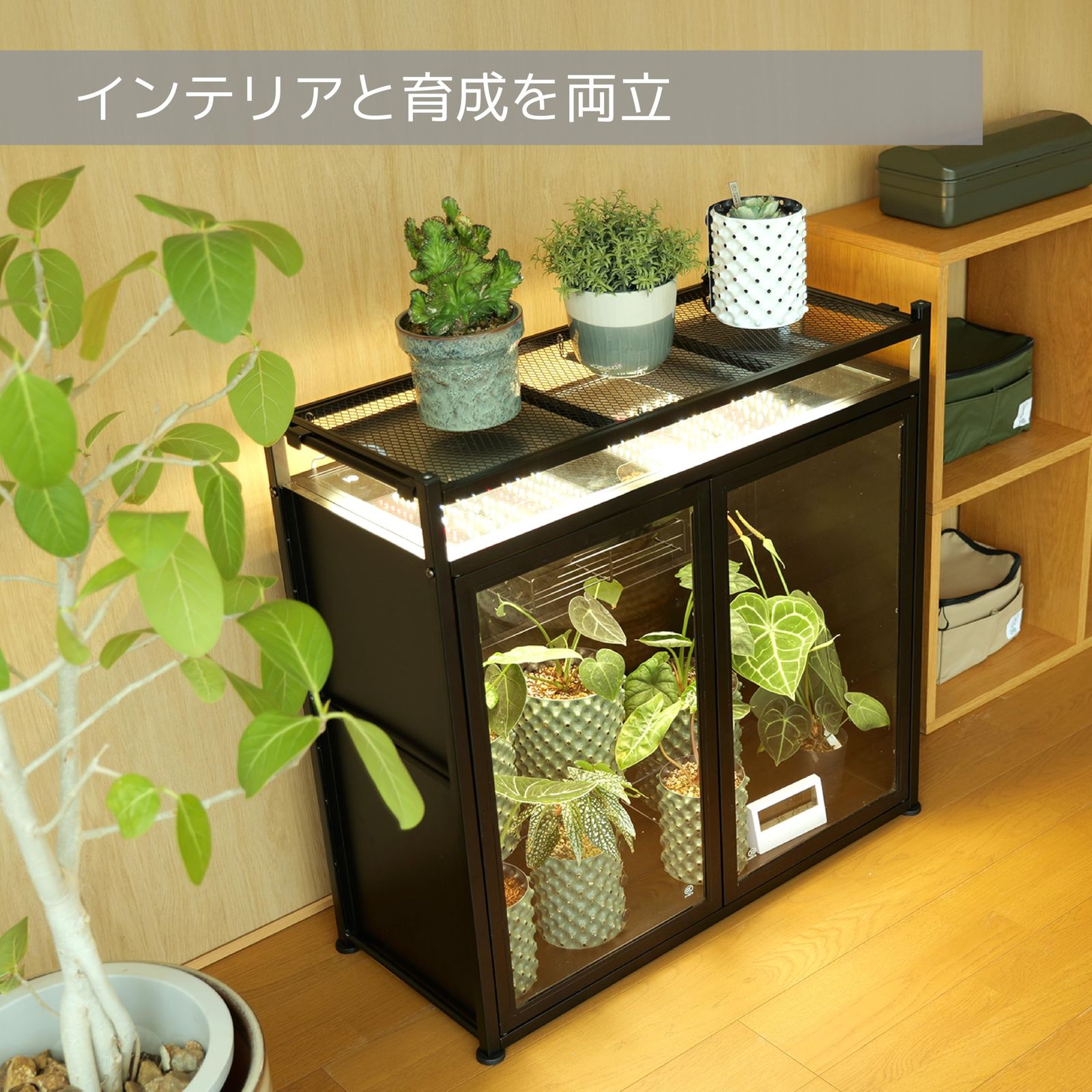 新品 ビザールプランツラック キャビネット ガラス温室 植物育成ライト