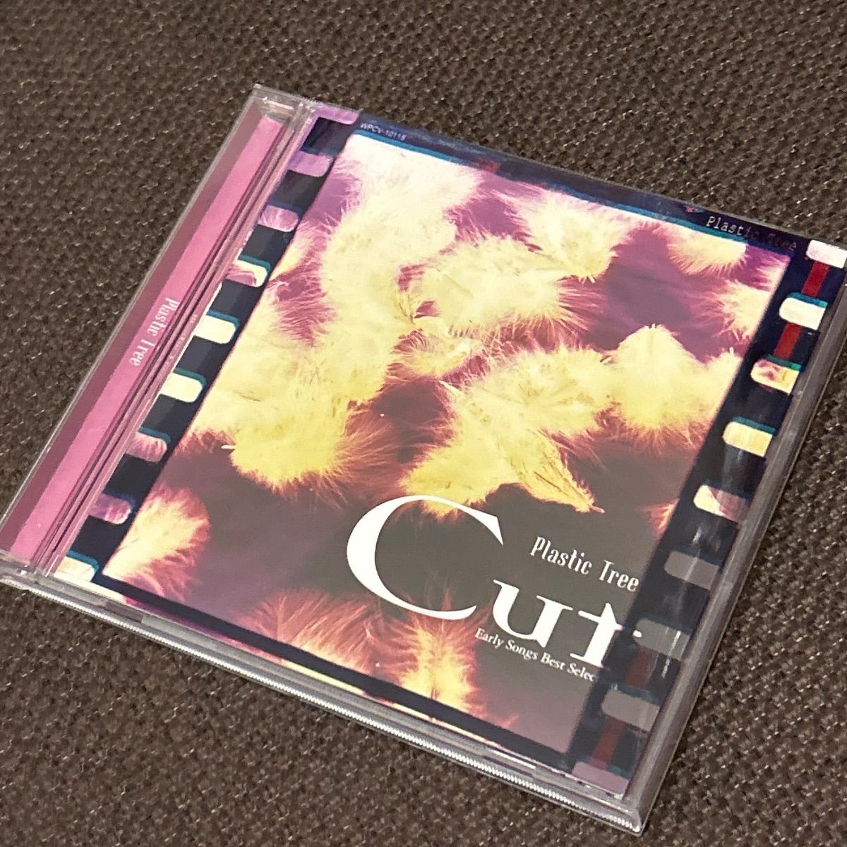 S6413) Plastic Tree Cut～Early Songs Best Selection CD plastic
