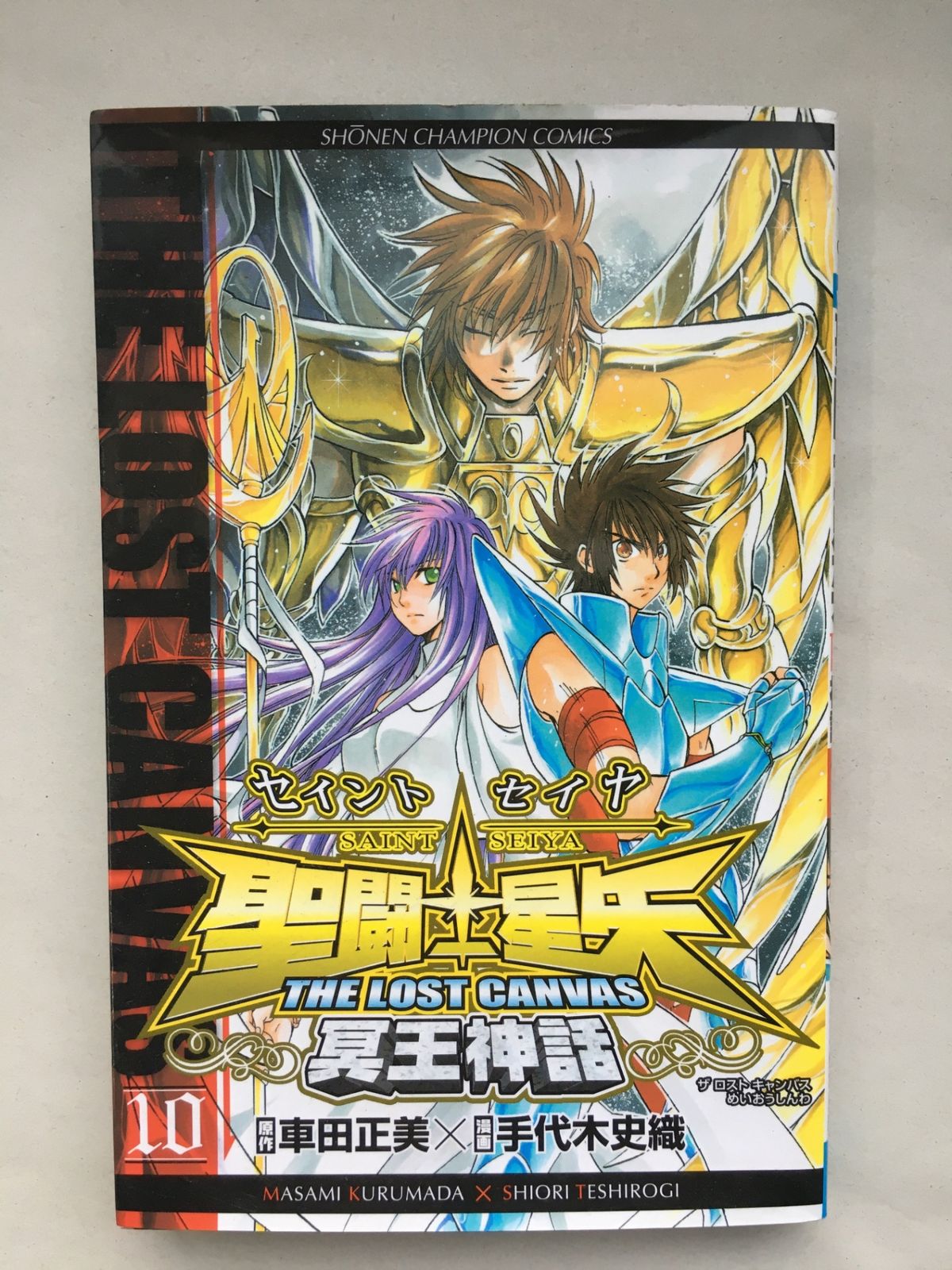 聖闘士星矢THE LOST CANVAS冥王神話 (10) (少年チャンピオン