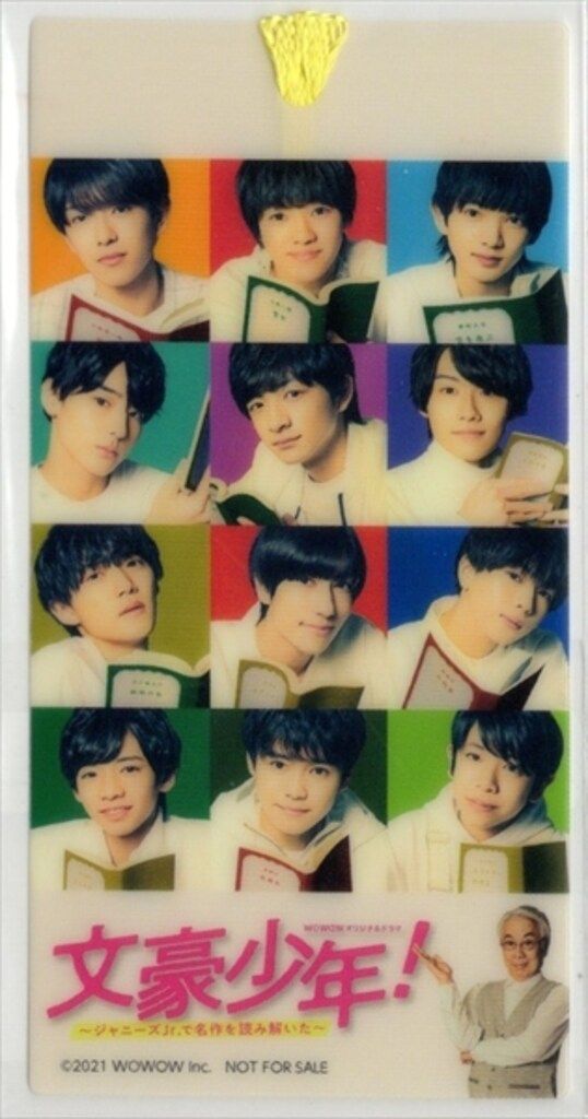 国内ドラマDVD 文豪少年! ～ジャニーズJr.で名作を読み解いた～ DVD