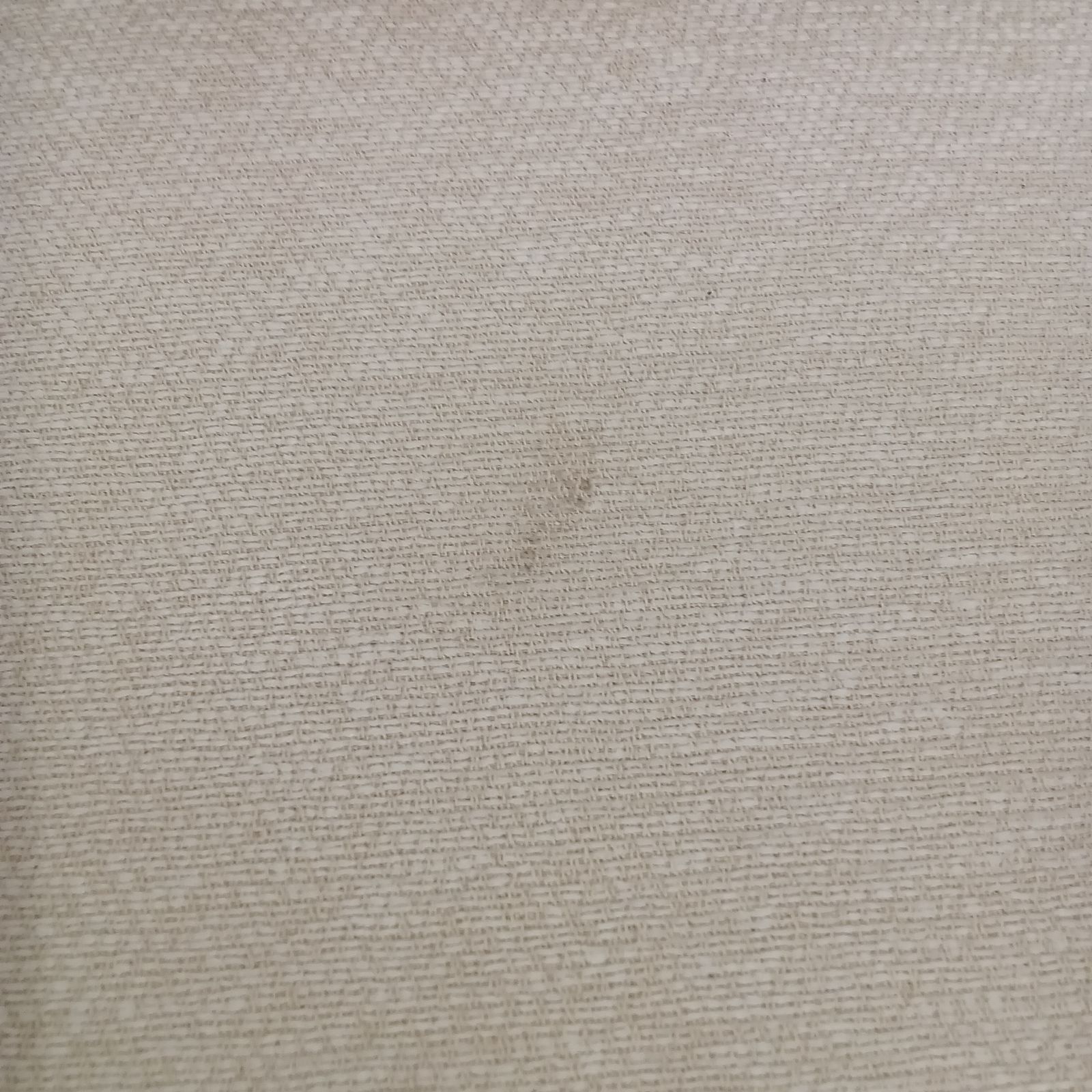 リユースのサカイつくば店 CASSINA