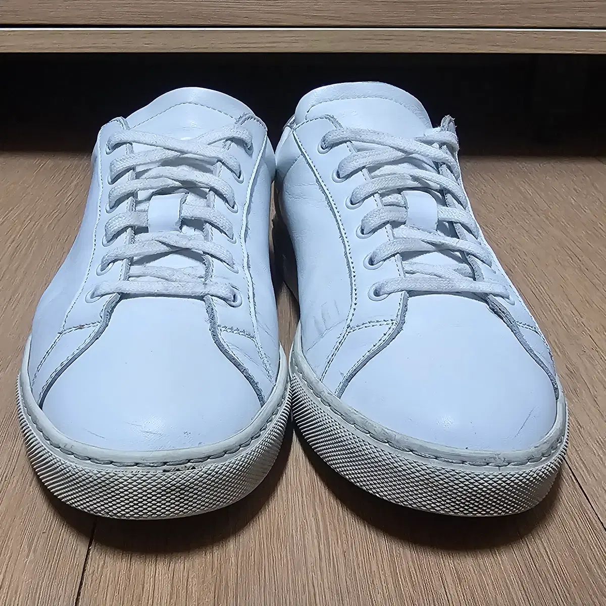 COMMON PROJECTS コモンプロジェクツ アキレス レトロ レディース