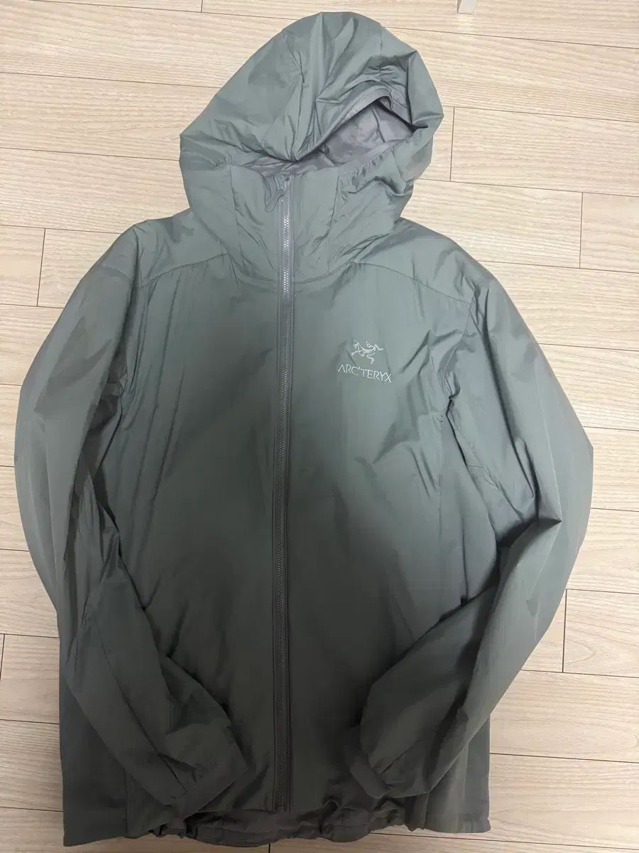 ARC TERYX アークテリクス LT hoody void Mサイズ