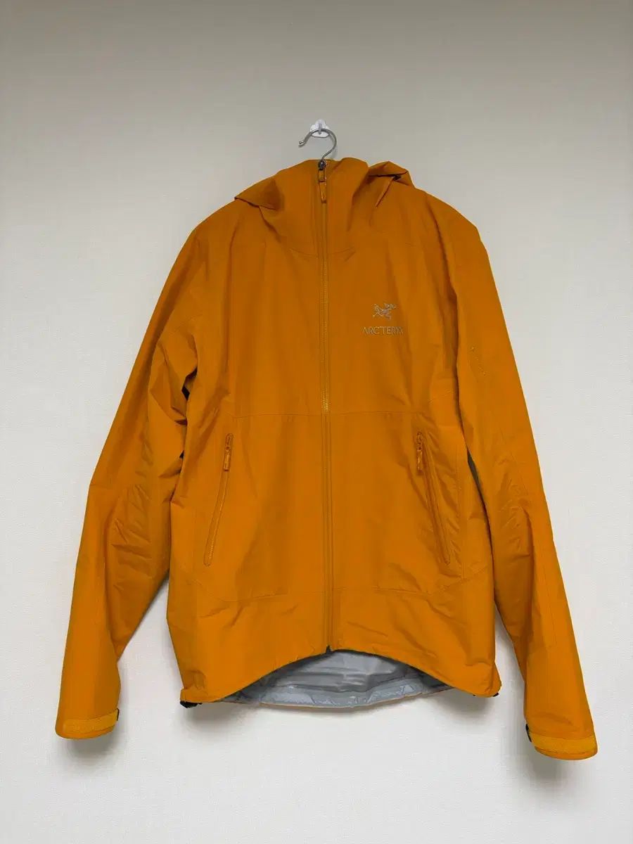  ARC TERYX アークテリクス ZETA SL ワイルドチャイルド その他 アウター