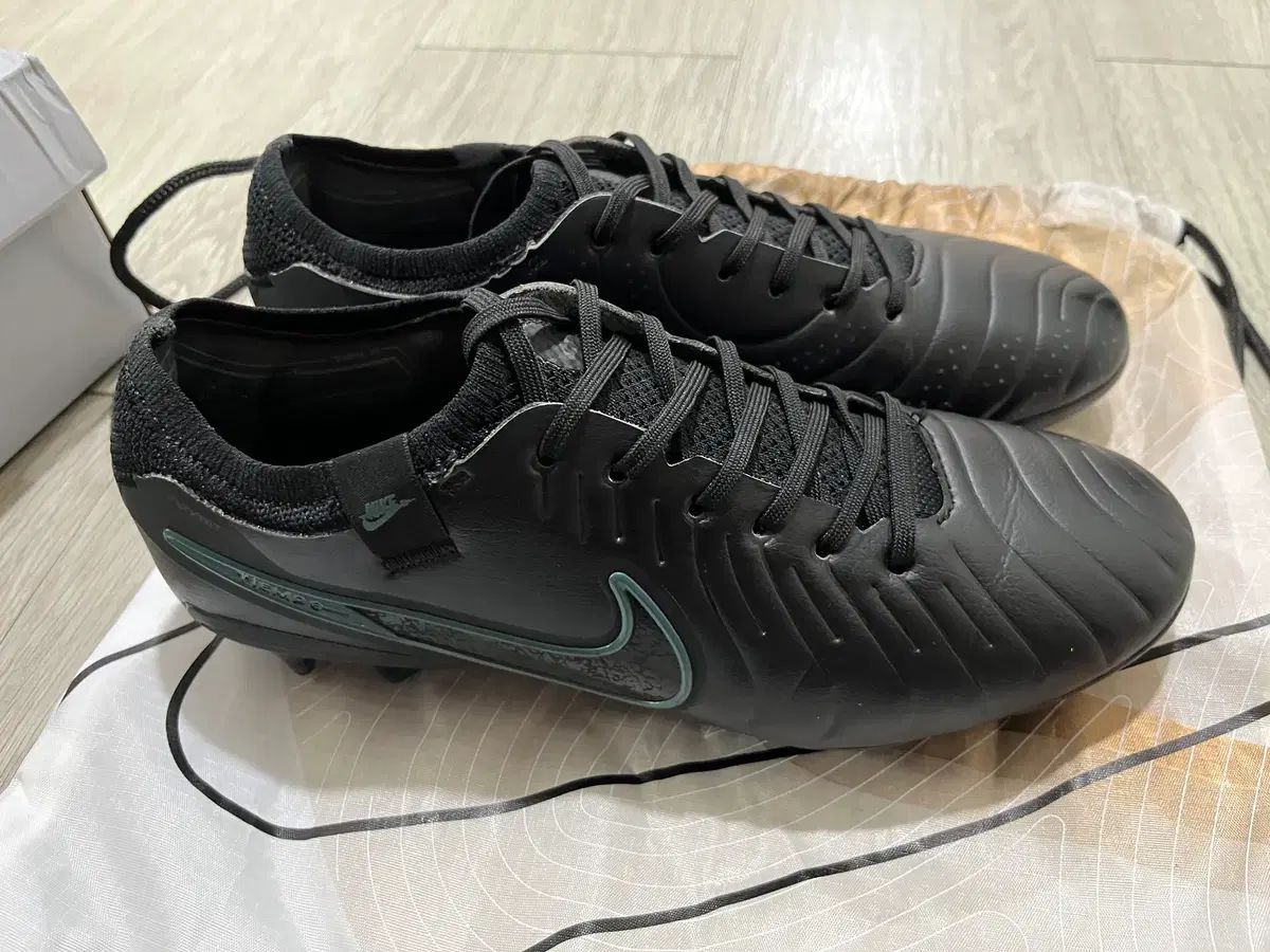 ナイキ ティエンポ レジェンド10 エリート FG 260 サッカーシューズ 
