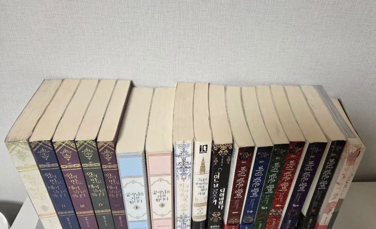 王の娘だと聞きました (王女) 公爵様をお断りします 小説 出品
