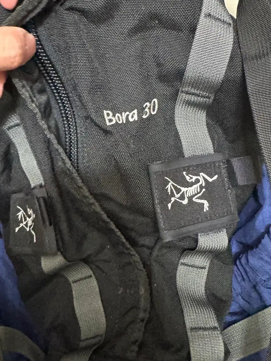 ARC TERYX アークテリクス パープル 30 リュック リュックサック ブラック カナダ