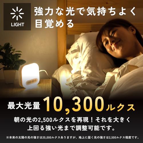 光･振動･大音量アラーム 3種類組合せ