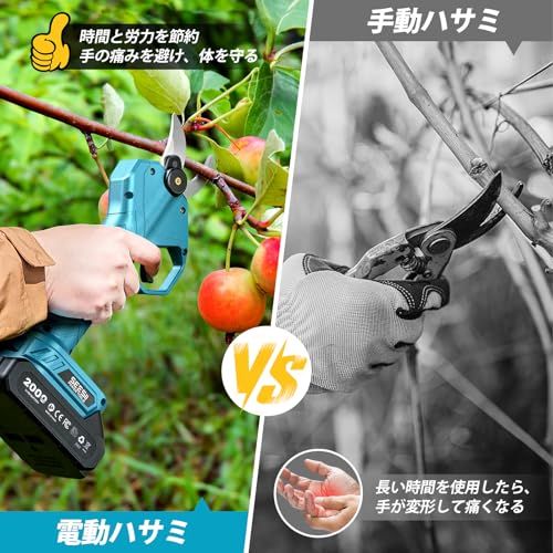 新型 SEESII たかえだ 電動チェーンソー 充電式剪定ばさみ ハンディチェーンソー 6インチ ブラシレス 高枝切り剪定ハサミ 1台4役 セット 強力 電動のこぎり 軽量 コードレス 延長ポール 125 cm?250 cm無段階調整 パワフル プロ
