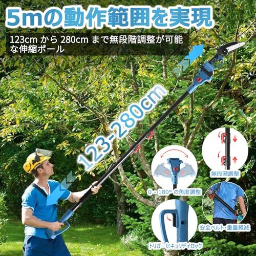 園芸 庭木の剪定