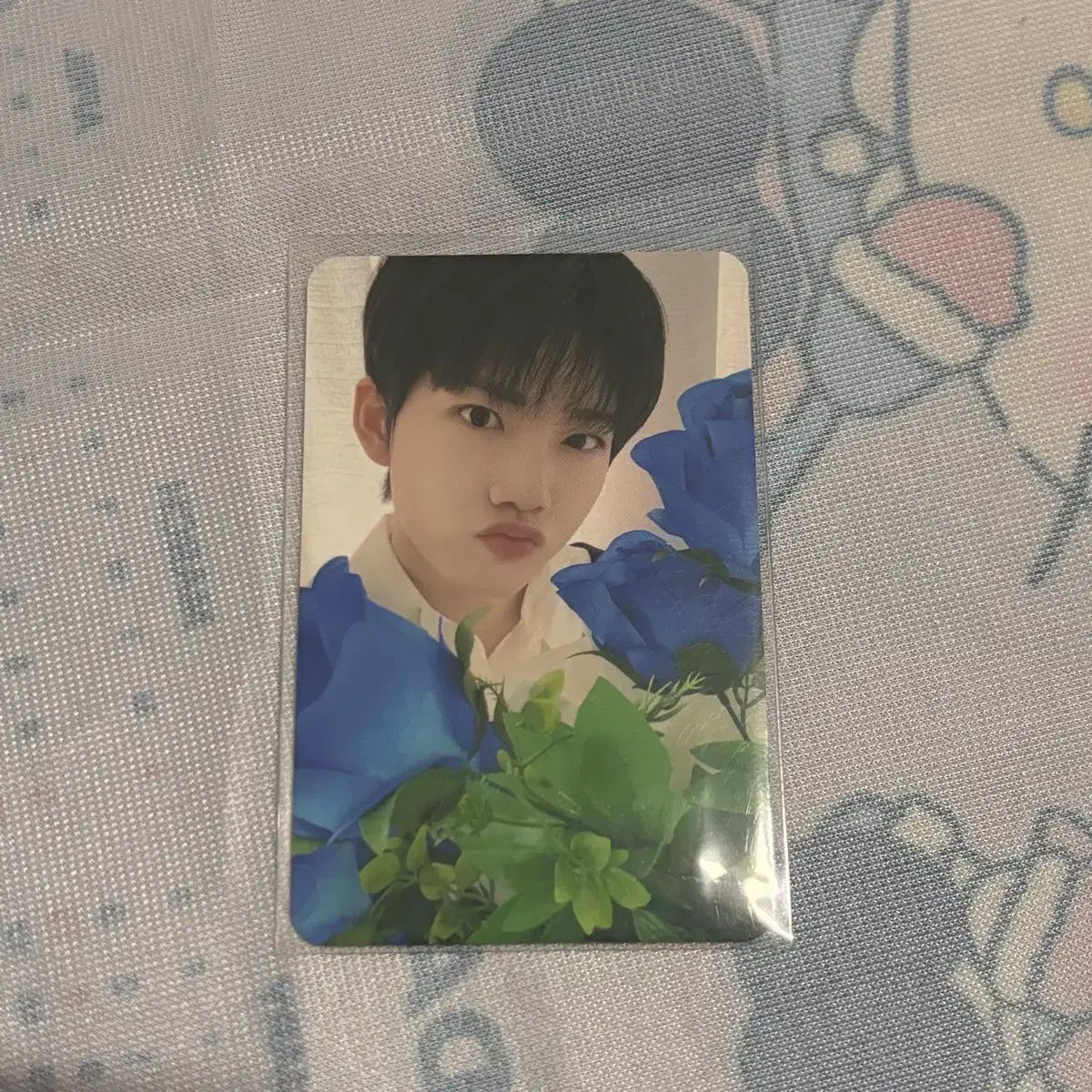 TREASURE（トレジャー） NIGHT GARDEN ストラップキット ジュンギュ