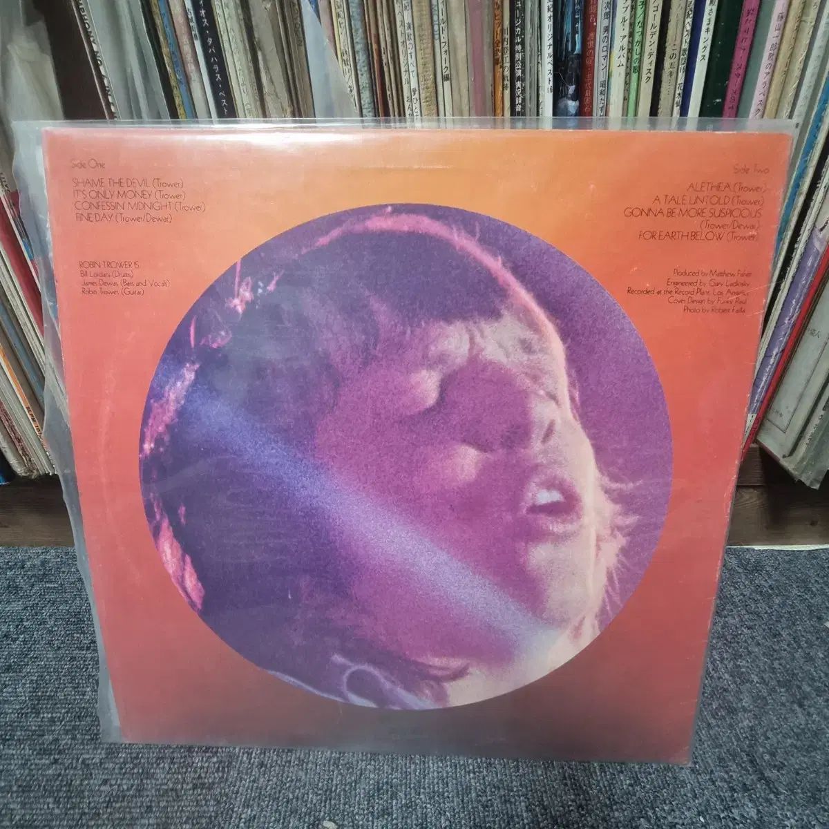 ロビン トロワー For Earth Below LP ヴァイナル ビニールレコード