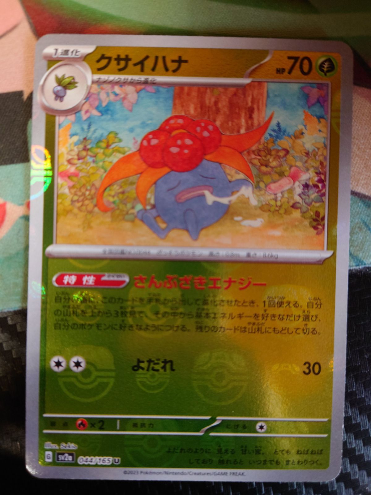 クサイハナ マスターボールミラー 151 - メルカリ