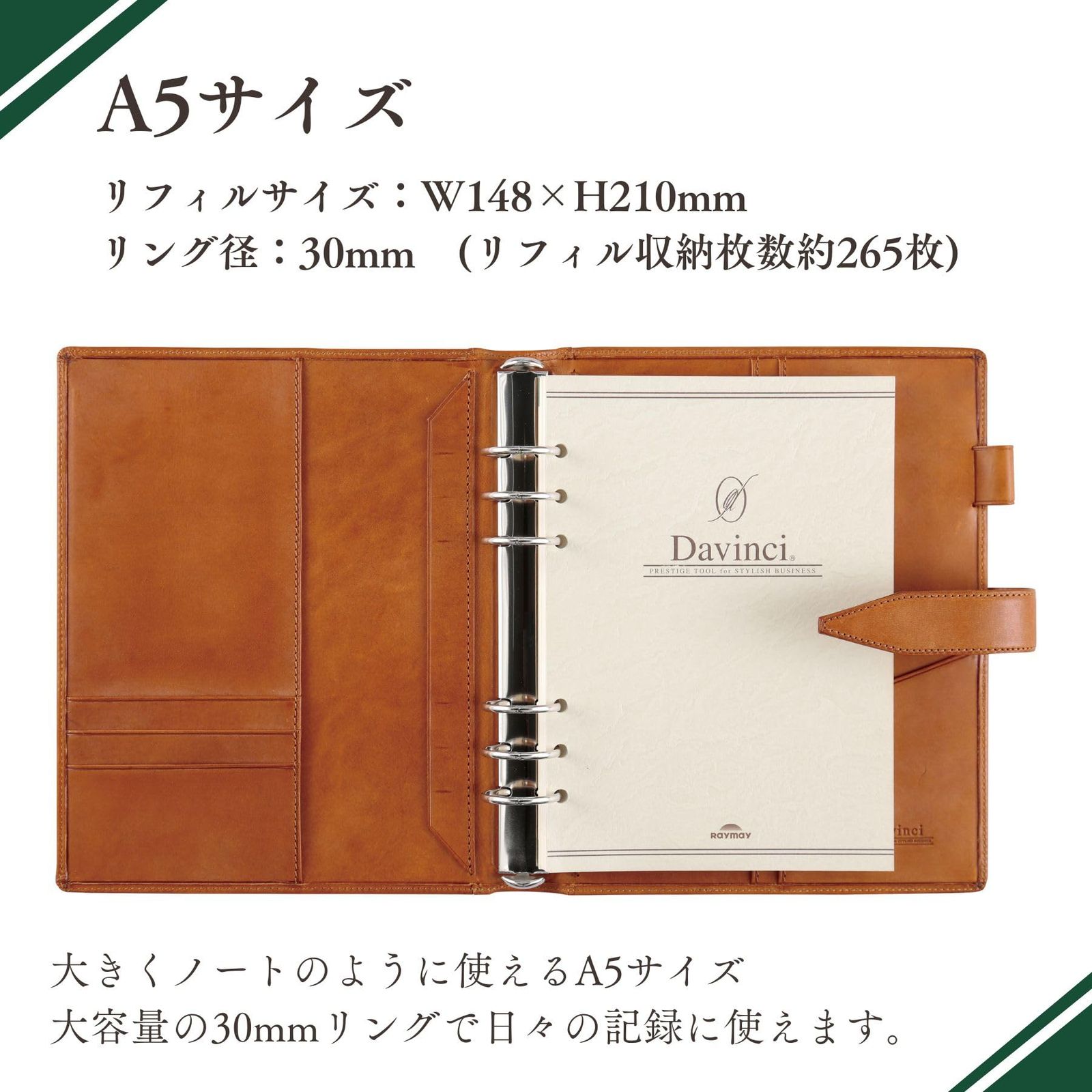 レイメイ藤井 ダヴィンチ グランデ ロロマクラシック システム手帳 A5 
