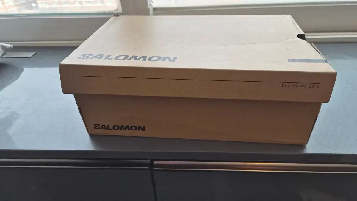 SALOMON サロモン