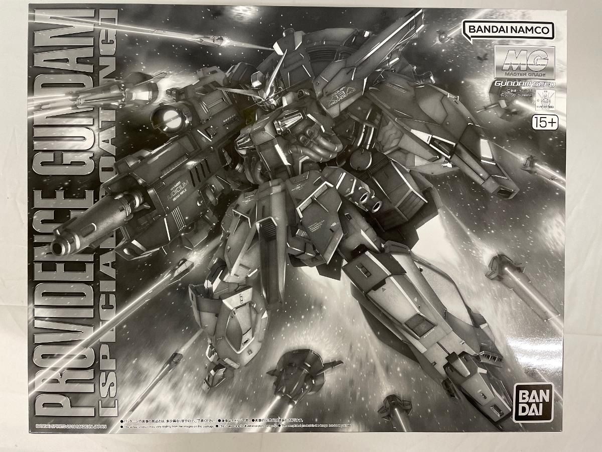 未開封】1/100 MG ZGMF-X13A プロヴィデンスガンダム [スペシャル