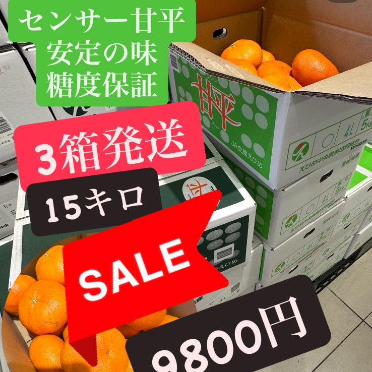 甘平　5kg箱　#3 糖度保証】甘平 5kg×3箱 15kg 旬の柑橘 - メルカリ