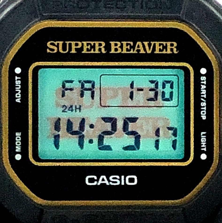 G-SHOCK ジーショック DW-5600SB23-1 SUPER BEAVER スーパービーバー