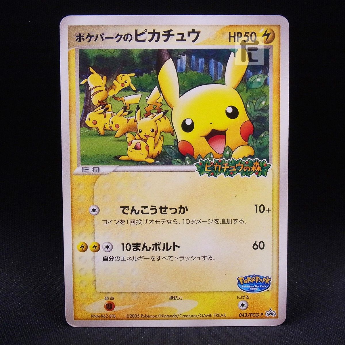PROMO ポケパークのピカチュウ 043/PCG-P / TA24162 ポケパークの