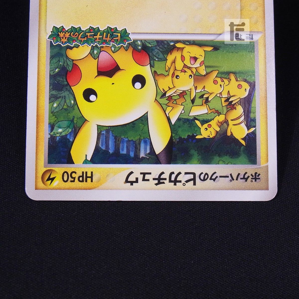 PROMO ポケパークのピカチュウ 043/PCG-P / TA24162 ポケパークの