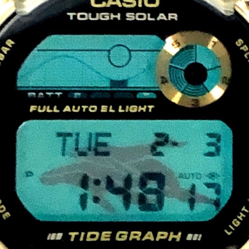 G-SHOCK DW-9700K-9T ジーショック イルクジ1999 第8回イルカ・クジラ 