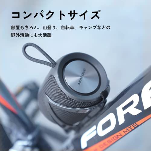 重低音モデル IPX