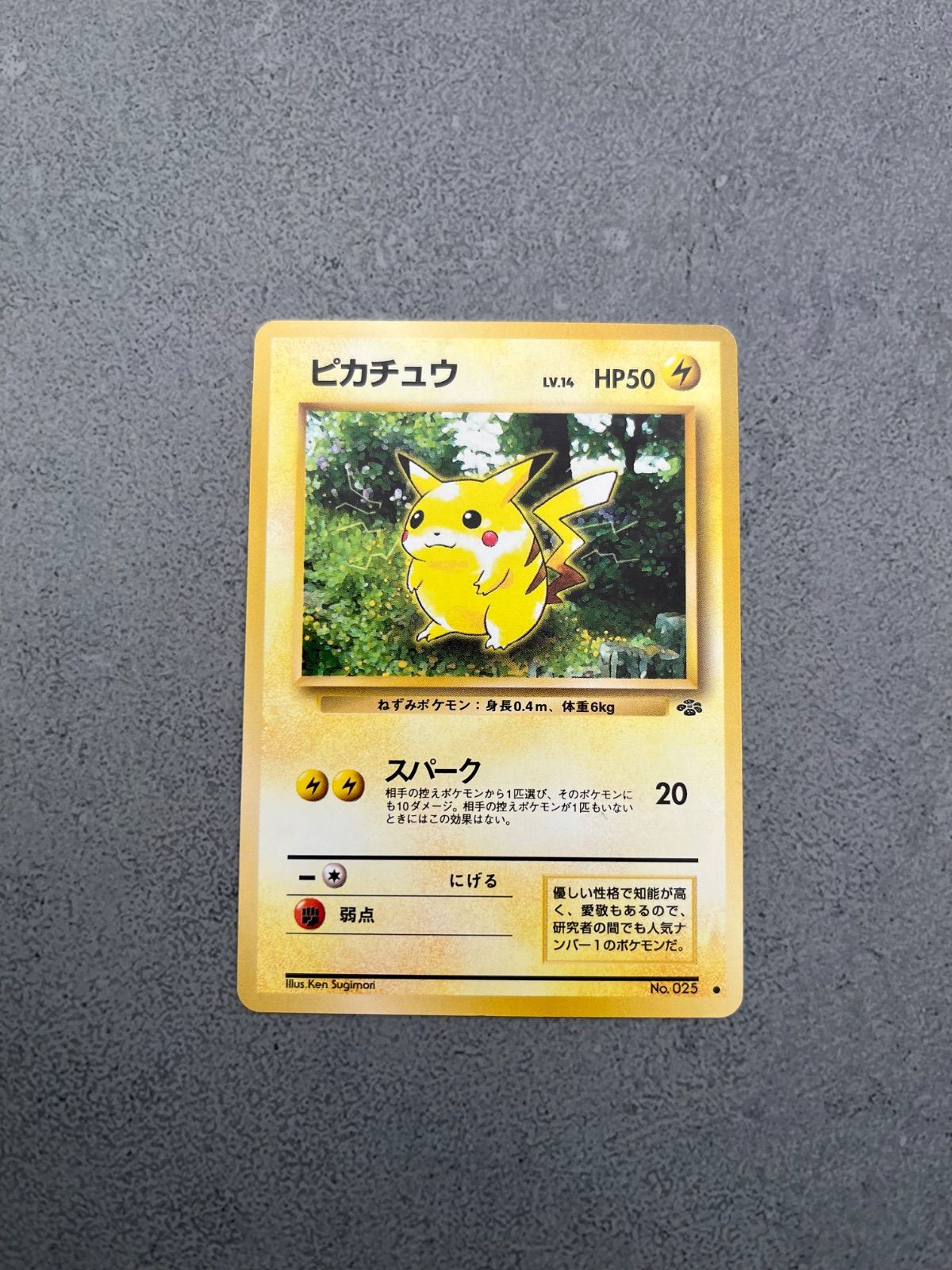 ポケモンカード 旧裏 ピカチュウ ポケモンジャングル 0206-505