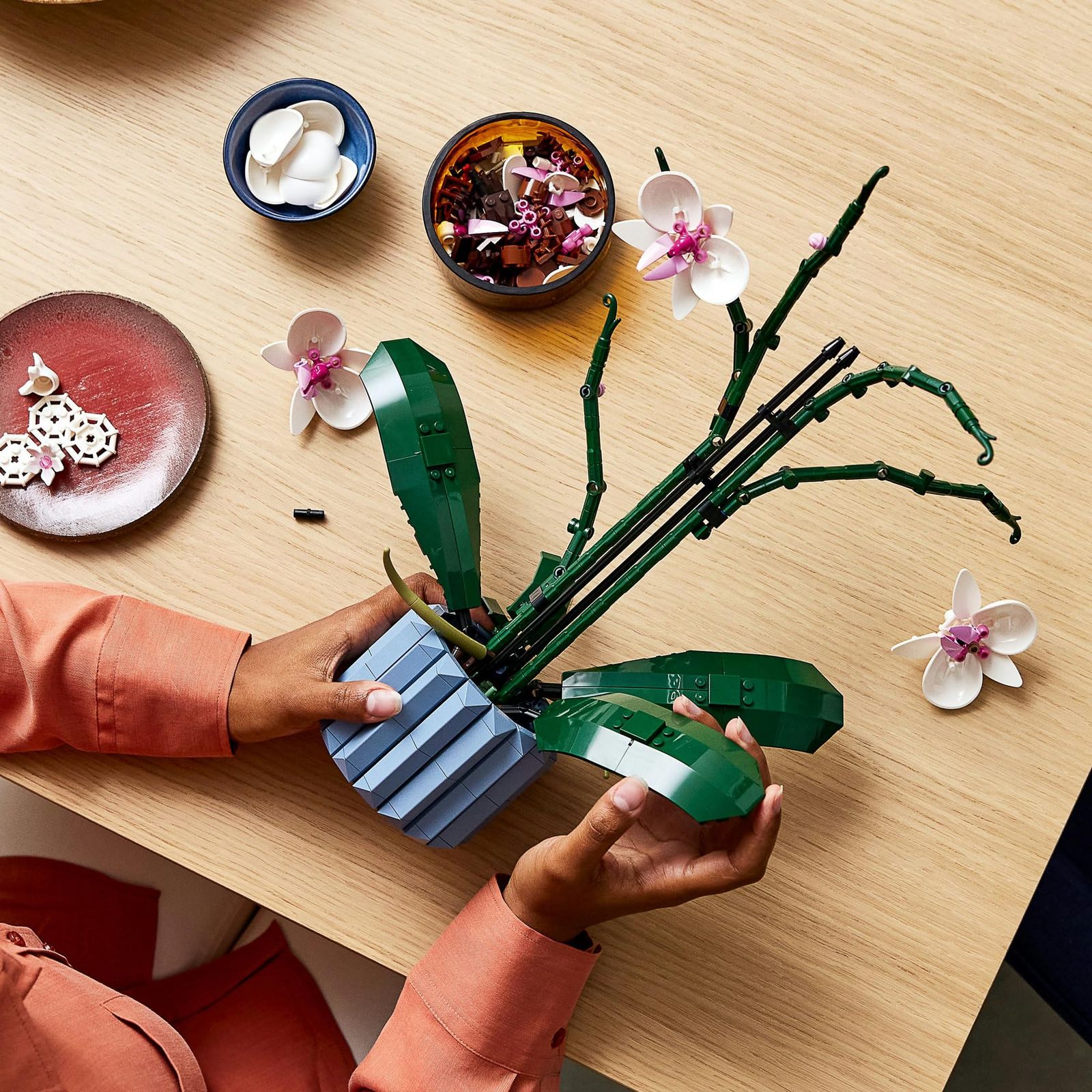  レゴ LEGO ボタニカル 胡蝶蘭 おもちゃ 玩具 プレゼント ブロック 男性 女性 花束 造花 飾り インテリア オシャレ 母 父 10311 その他 ブロック玩具