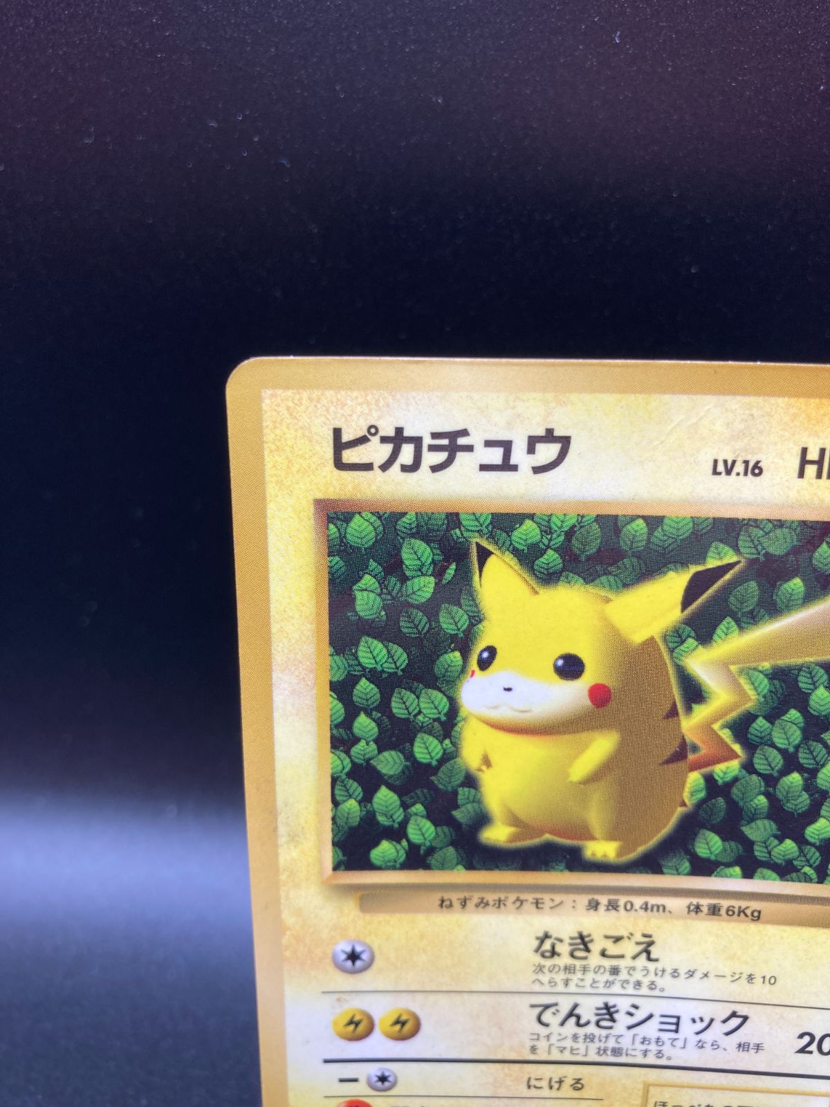状態ランクD ピカチュウ Pikachu 旧裏 旧裏面 back 光沢あり プロモ コロコロコミック ポケモンカード V 027