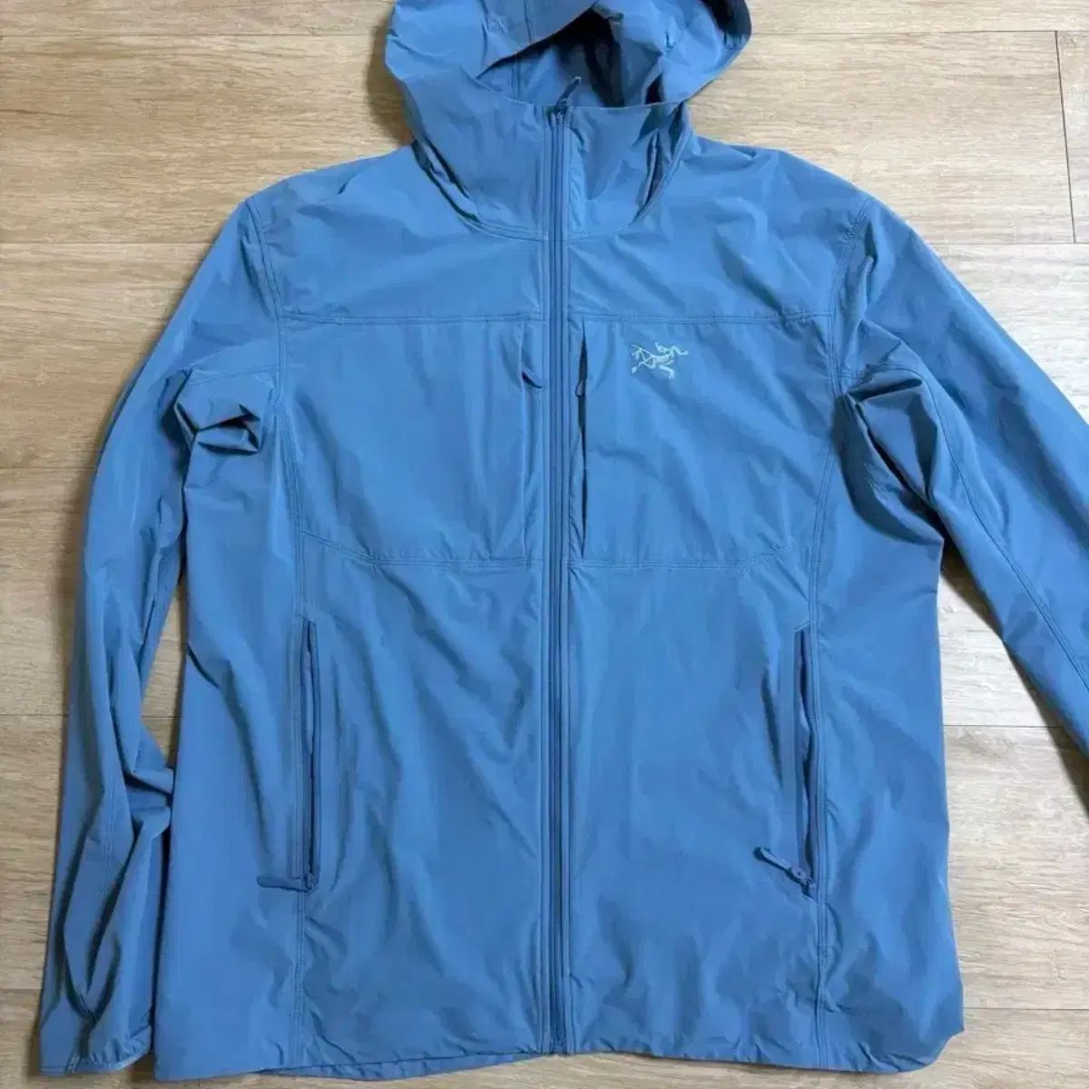  ARC TERYX GAMMA ガンマ ライトウェイト フーディ M その他 アウター